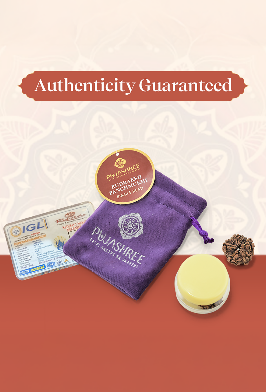 Pujashree Panchmukhi Rudraksh Single Bead – Sacred Five Mukhi Rudraksha for Protection & Peace | Grocsy