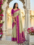 Shree Shyam Fashion Chiku Silk Blend Saree | Grocsy