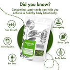 Sorich Organics Raw Pumpkin Seeds | Grocsy