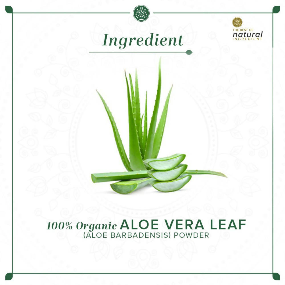Khadi Natural Organic Aloe Vera Leaf Powder | Grocsy