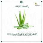 Khadi Natural Organic Aloe Vera Leaf Powder | Grocsy