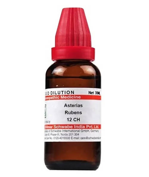 Dr. Willmar Schwabe India Asterias Rubens Dilution | Grocsy