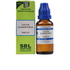 SBL Homeopathy Cactus Grandiflorus Dilution | Grocsy