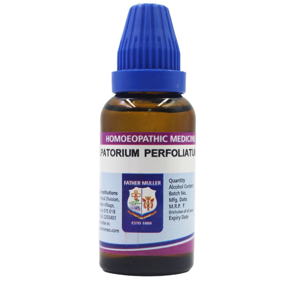 Father Muller Eupatorium Perfoliatum Dilution | Grocsy