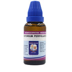 Father Muller Eupatorium Perfoliatum Dilution | Grocsy