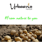 Urbaano Herbal Potato Extract Oil Soluble Natural Brightening & Soothing | Grocsy