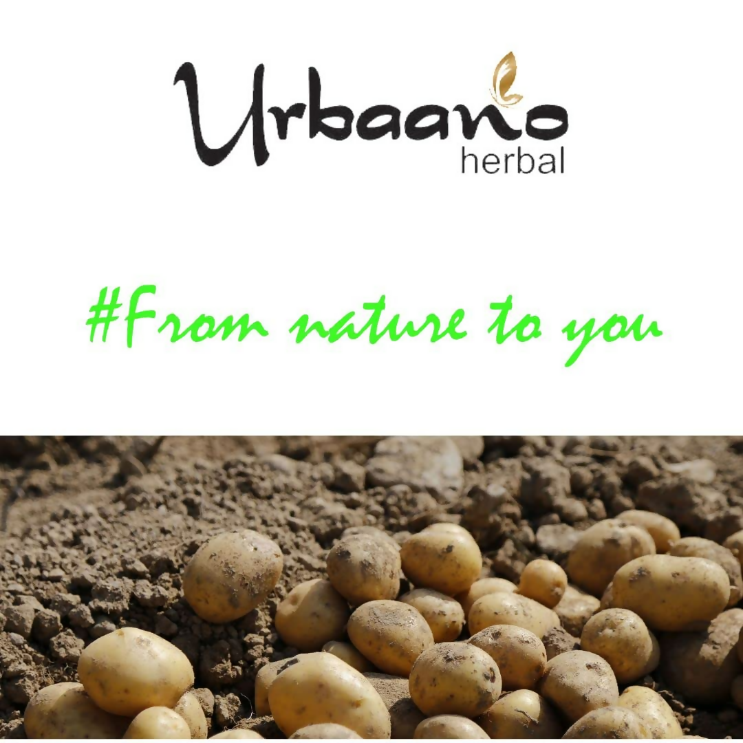 Urbaano Herbal Potato Extract Oil Soluble Natural Brightening & Soothing | Grocsy