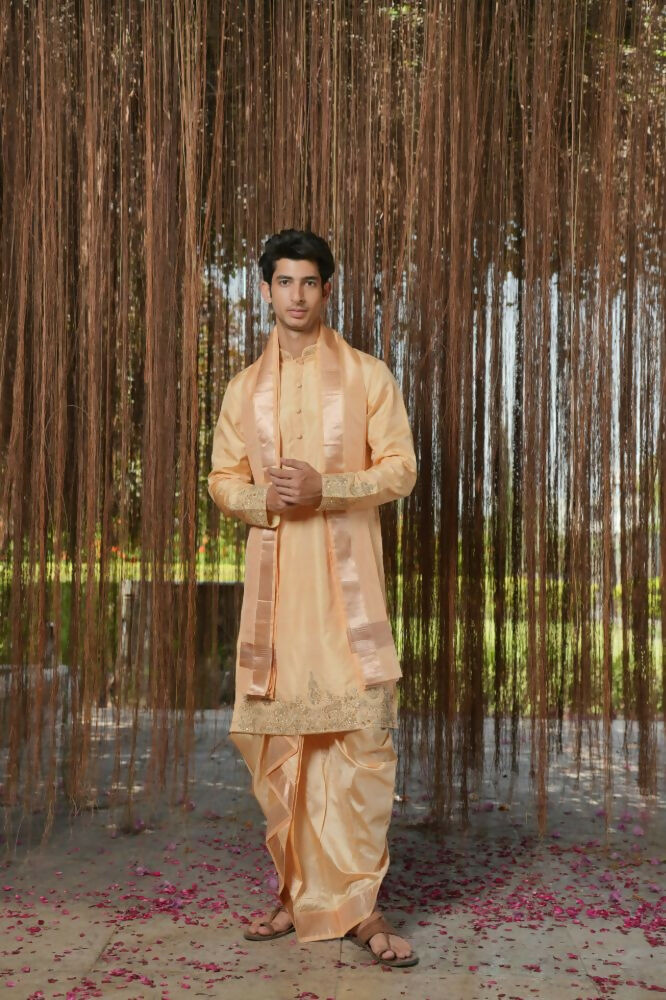 Tan Kanjivaram Hand Embroidered Pattu Set by Hilo Design | Grocsy
