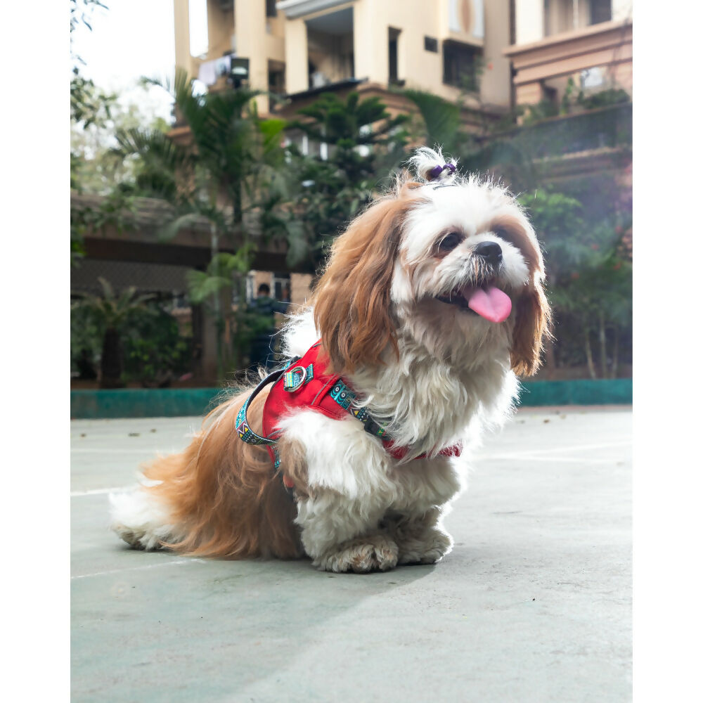 Waggety Adjustable Full Body Dog Harness - Comfortable Fit, Durable Polyester, Red | Grocsy