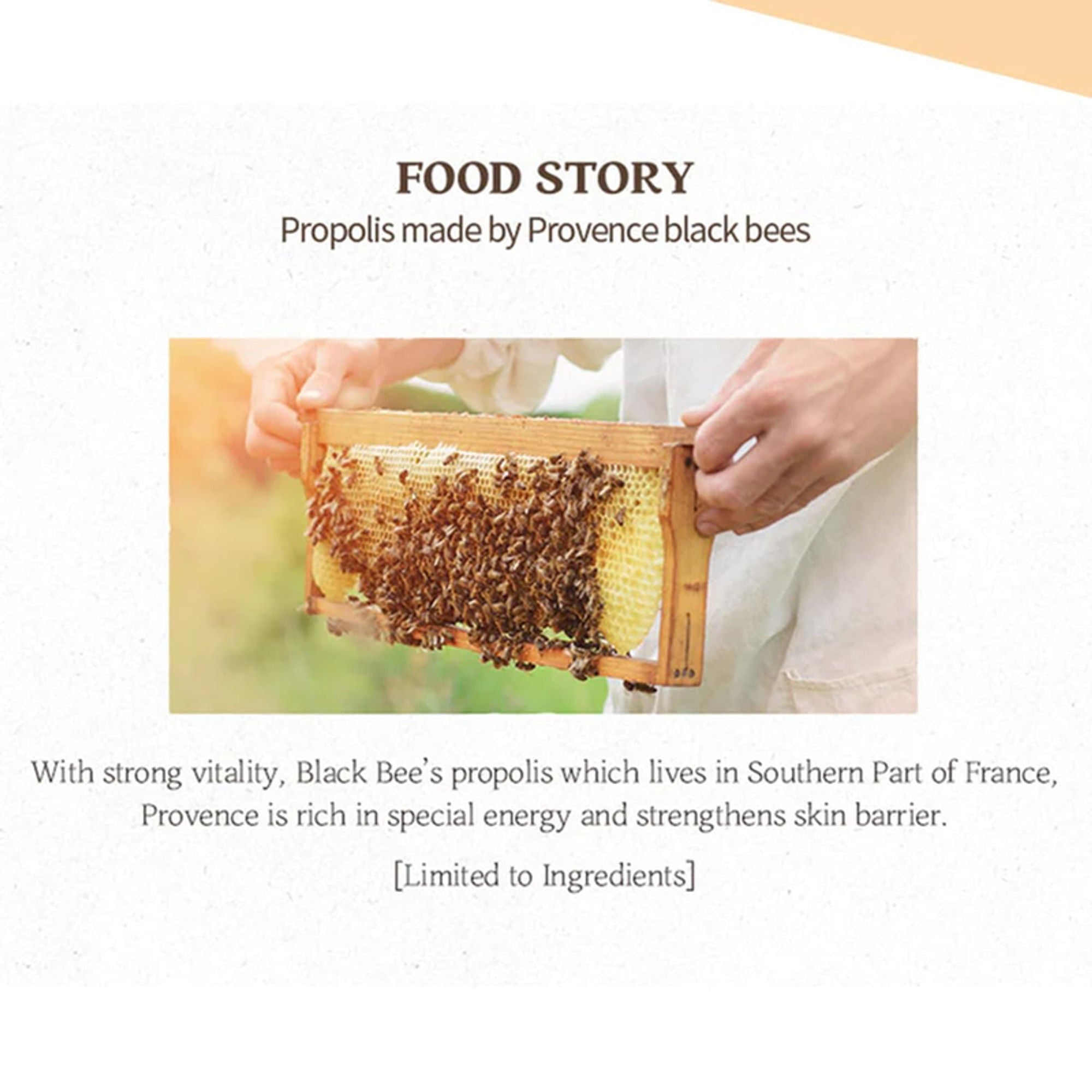 Skinfood Royal Honey Propolis Enrich Toner | Grocsy