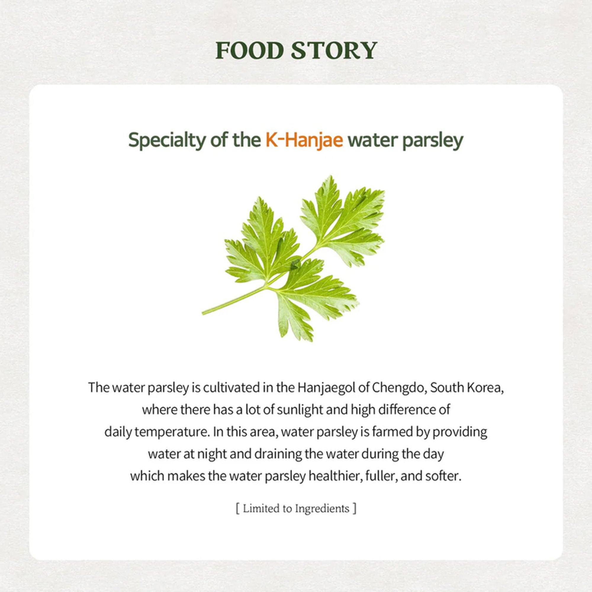 Skinfood Pantothenic Water Parsley Clear Pad | Grocsy