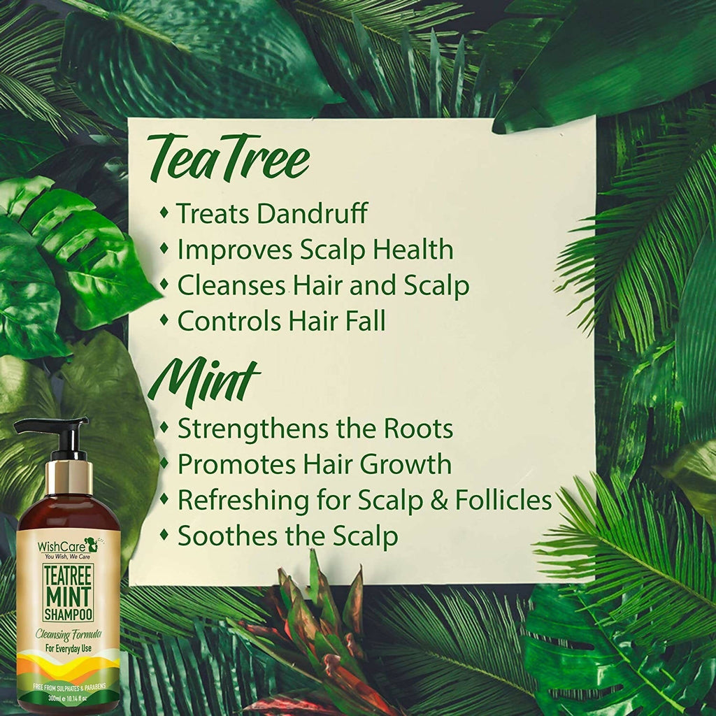 Wishcare Tea Tree Mint Shampoo | Grocsy