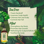 Wishcare Tea Tree Mint Shampoo | Grocsy