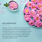 Lotus Professional Dermo Spa Bulgarian Rose Skin Radiance Cream with SPF20 | Grocsy