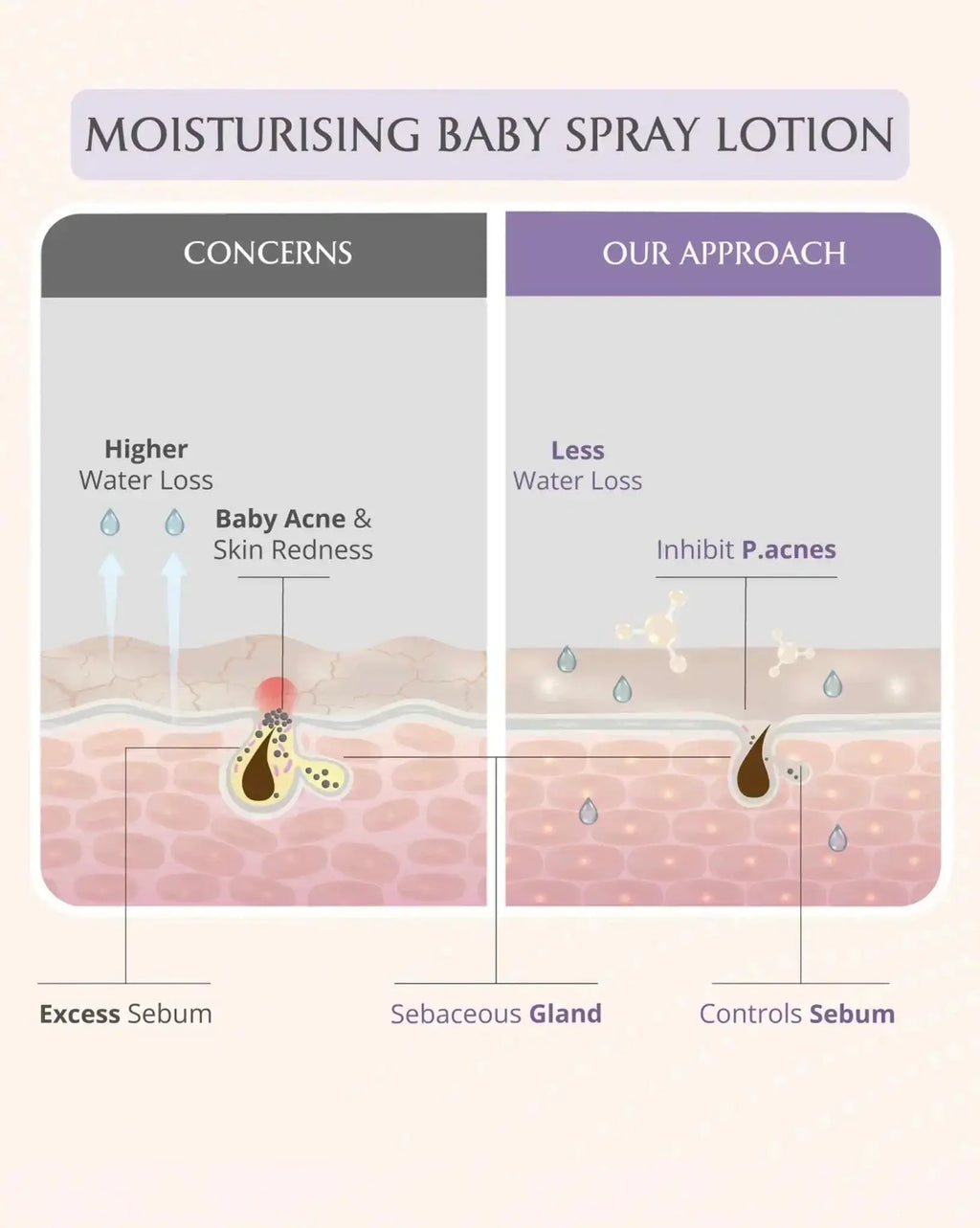 AreoVeda Deep Moisturising Kit | Grocsy