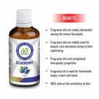 Ae Naturals Blueberry Fragrance Oil | Grocsy