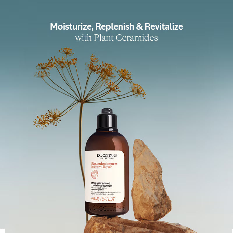 L'Occitane Intensive Repair Conditioner | Grocsy