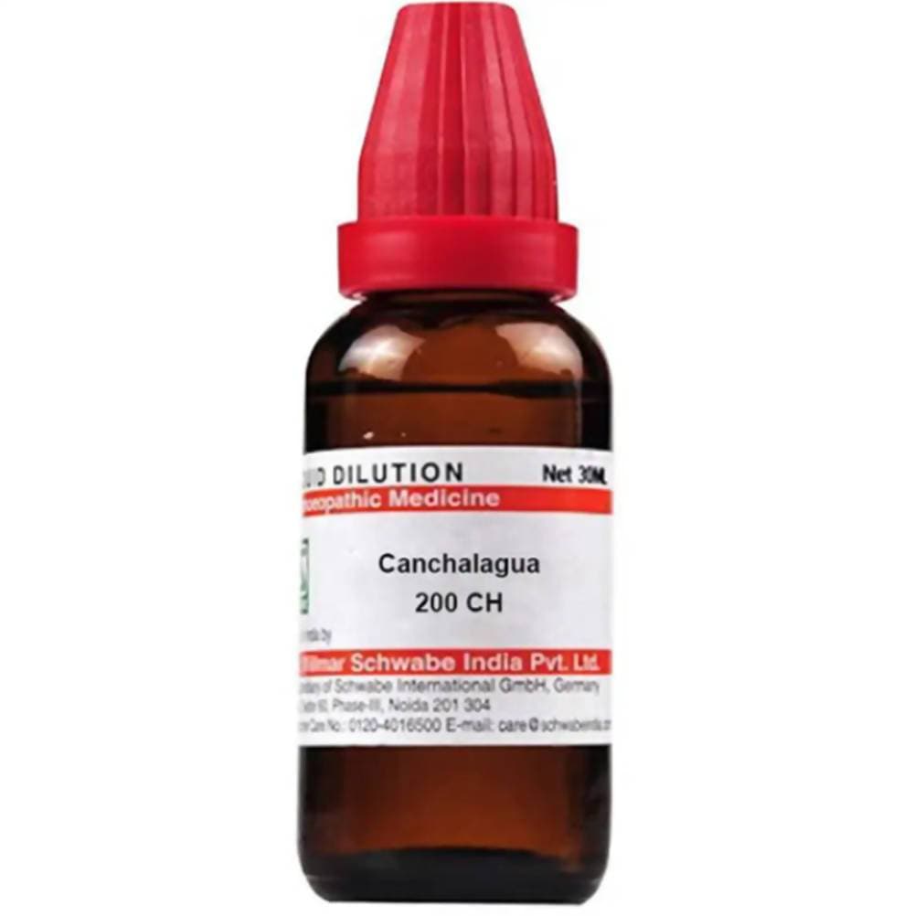 Dr. Willmar Schwabe India Canchalagua Dilution | Grocsy
