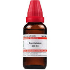 Dr. Willmar Schwabe India Canchalagua Dilution | Grocsy