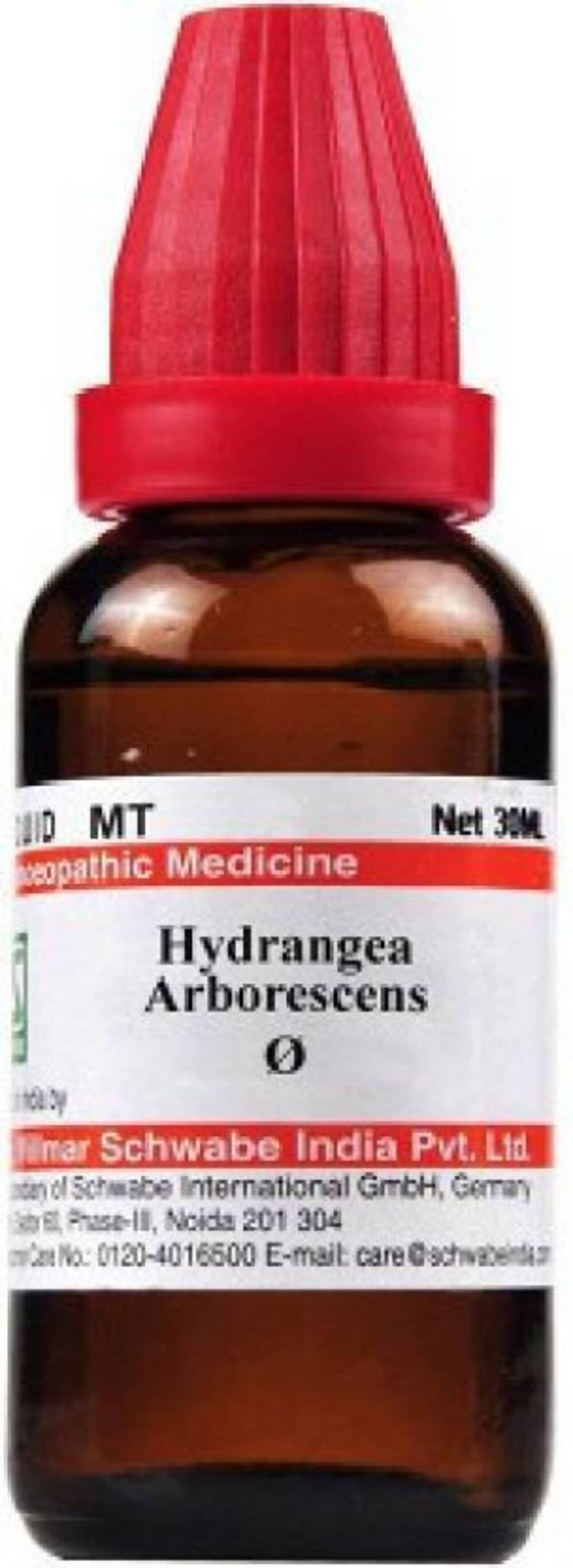 Dr. Willmar Schwabe India Hydrangea Arborescens Mother Tincture Q | Grocsy