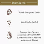 Mitti Se Tea Tree Essential Oil | Grocsy
