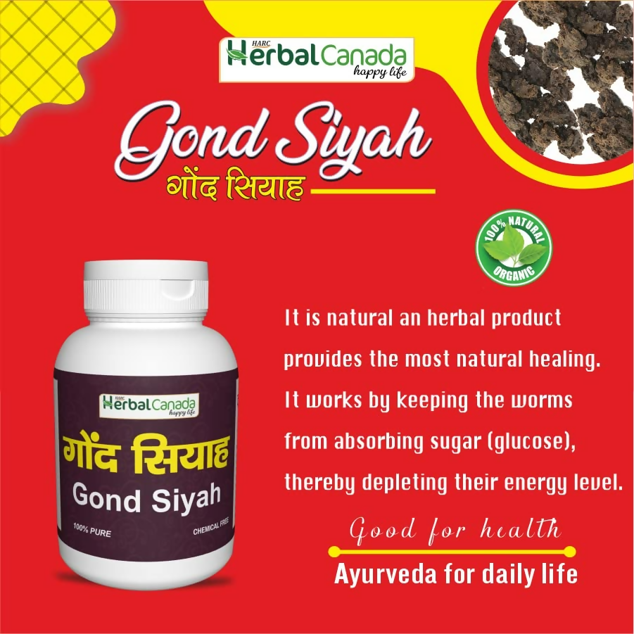 Herbal Canada Gond Siyah Powder | Grocsy