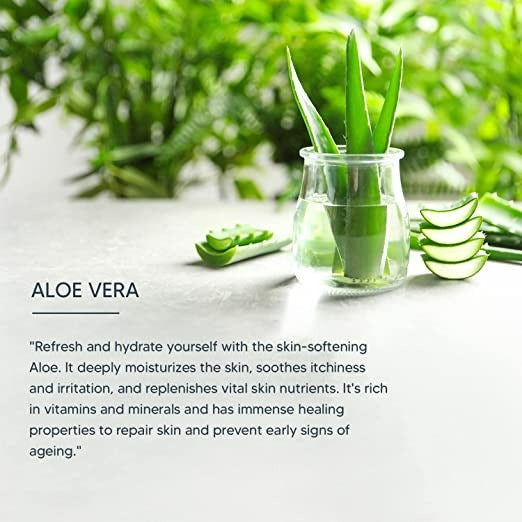 Lotus Professional Phyto Rx Rejuvina Herb Complex Protective Lotion | Grocsy