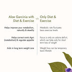 Kapiva Ayurveda Aloe + Garcinia Juice | Grocsy