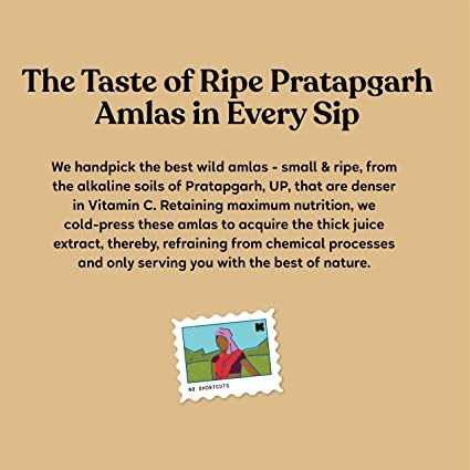 Kapiva Ayurveda Wild Amla Juice | Grocsy