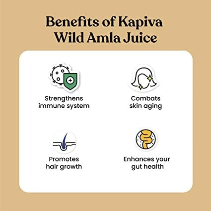 Kapiva Ayurveda Wild Amla Juice | Grocsy