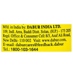 Dabur Nature Care Isabgol | Grocsy