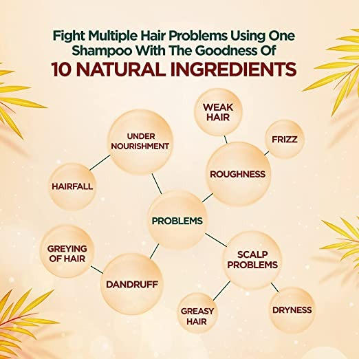 Dabur Vatika Ayurvedic Shampoo | Grocsy