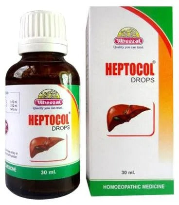 Wheezal Homeopathy Heptocol Drops | Grocsy