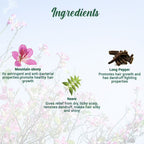 Biotique Bio Mountain Ebony Vitalizing Serum | Grocsy