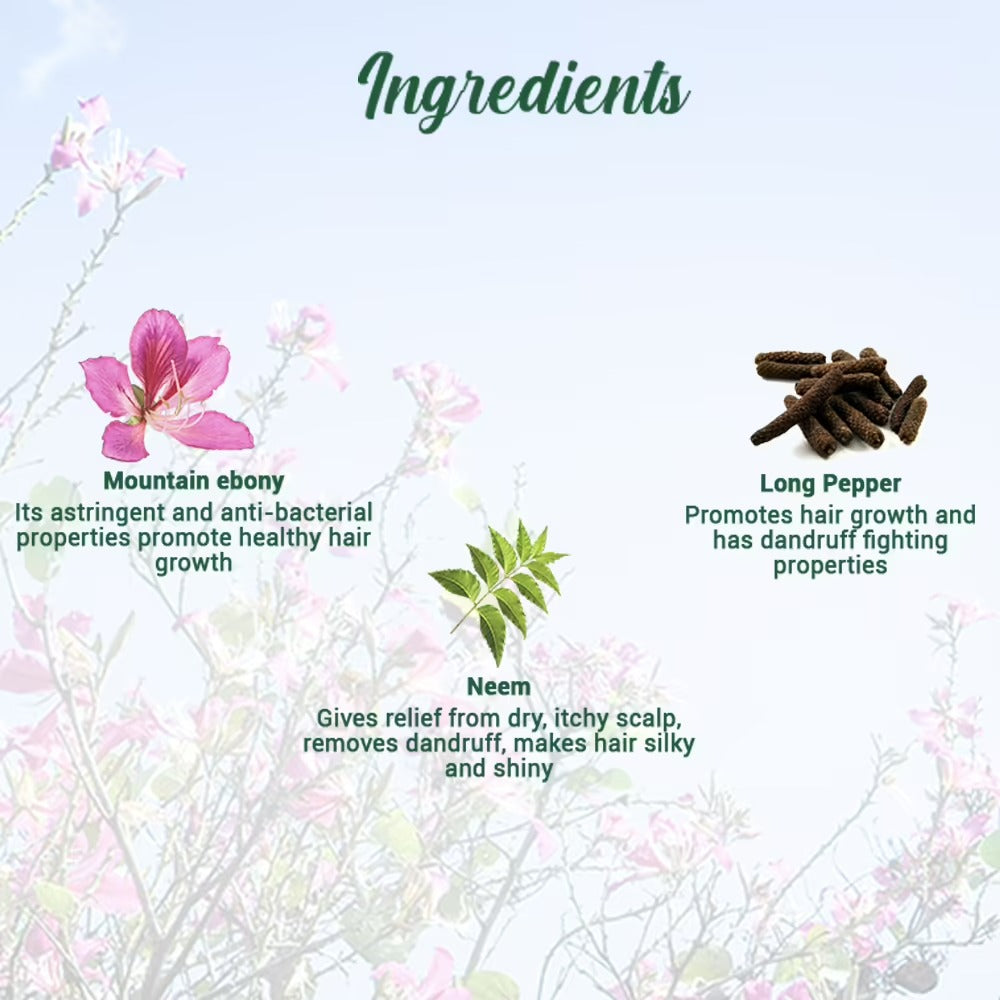 Biotique Bio Mountain Ebony Vitalizing Serum | Grocsy