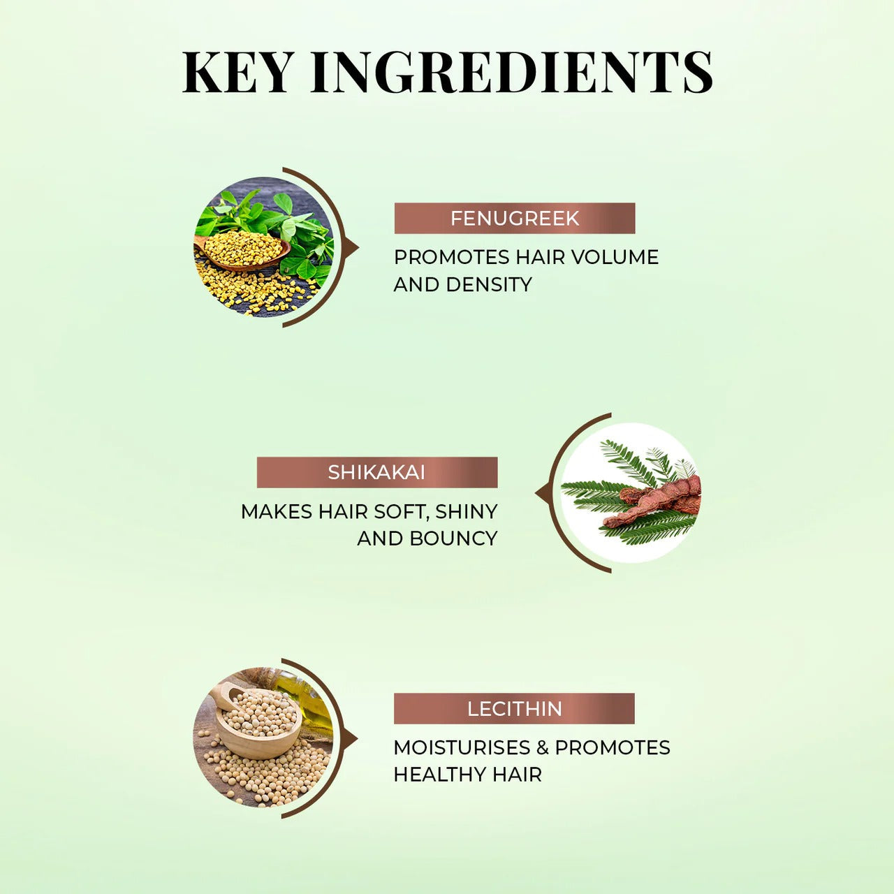 Just Herbs Lush Methi-Shikakai Shampoo | Grocsy