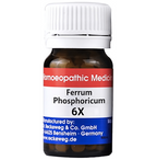 Dr. Reckeweg Ferrum Phosphoricum Biochemic Tablets | Grocsy