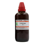 Dr. Willmar Schwabe India Condurango Mother Tincture Q | Grocsy