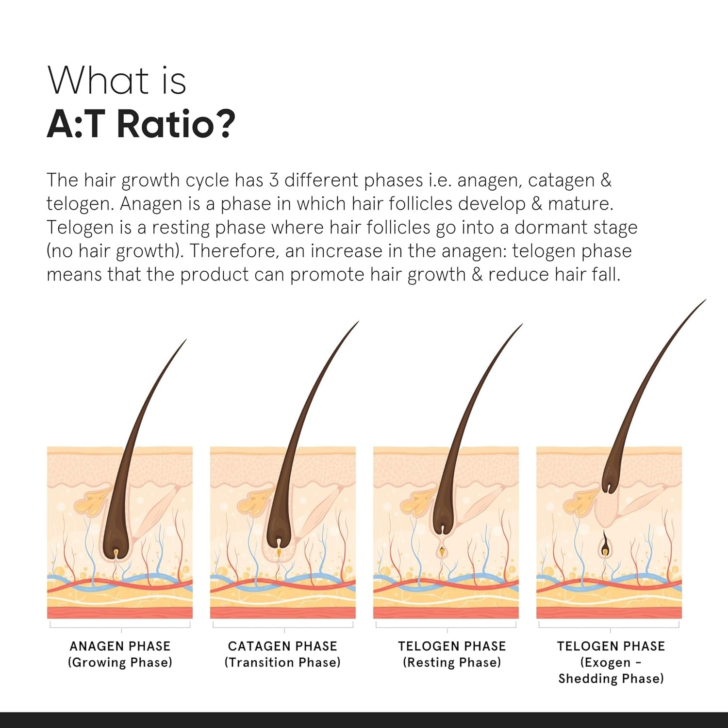 Minimalist Hair Growth Actives 18% Hair Serum | Grocsy