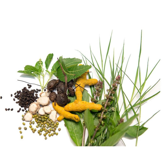 Isha Life Ojasvini Herbal Snanam Powder (Bath Powder) | Grocsy