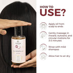 The Tribe Concepts Onion Hair Growth Oil | Grocsy
