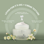 Lotus Herbals Whiteglow Skin Brightening Gel Creme SPF 25 PA+++ | Grocsy