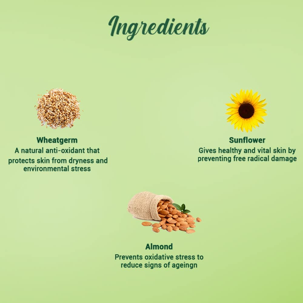 Biotique Advanced Ayurveda WheatGerm Anti-Ageing Night Cream | Grocsy