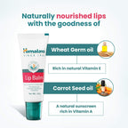 Himalaya Herbals Lip Balm | Ayurvedic Moisturizing Lip Care for Soft, Healthy Lips - Swadesiicart