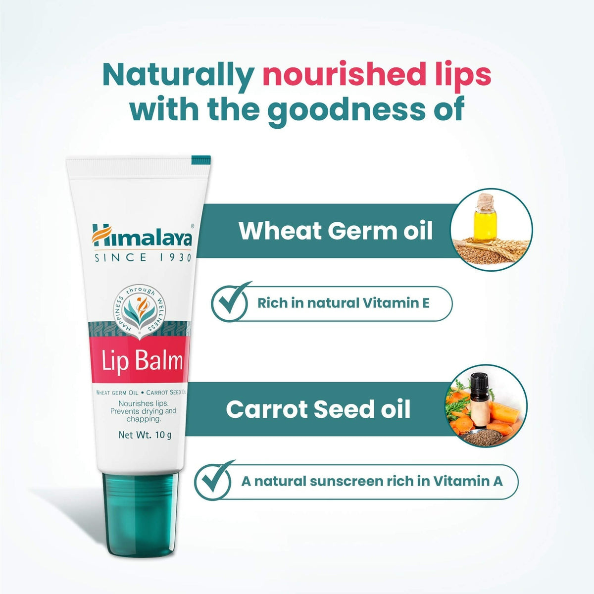 Himalaya Herbals Lip Balm | Ayurvedic Moisturizing Lip Care for Soft, Healthy Lips - Swadesiicart