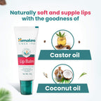 Himalaya Herbals Lip Balm | Ayurvedic Moisturizing Lip Care for Soft, Healthy Lips - Swadesiicart