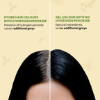 Indus Valley Damage-Free Gel Hair Color-Black | Grocsy