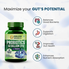 Himalayan Organics Probiotics Supplement 50 billion Prebiotics Capsules | Grocsy