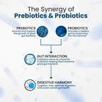 Himalayan Organics Probiotics Supplement 50 billion Prebiotics Capsules | Grocsy
