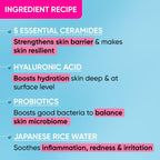 Dot & Key Barrier Repair Hydrating Gentle Face Wash For Dry, Normal & Sensitive Skin With Hyaluronic & Rice Water | Grocsy
